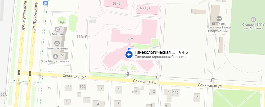 Yandex Map: loading...