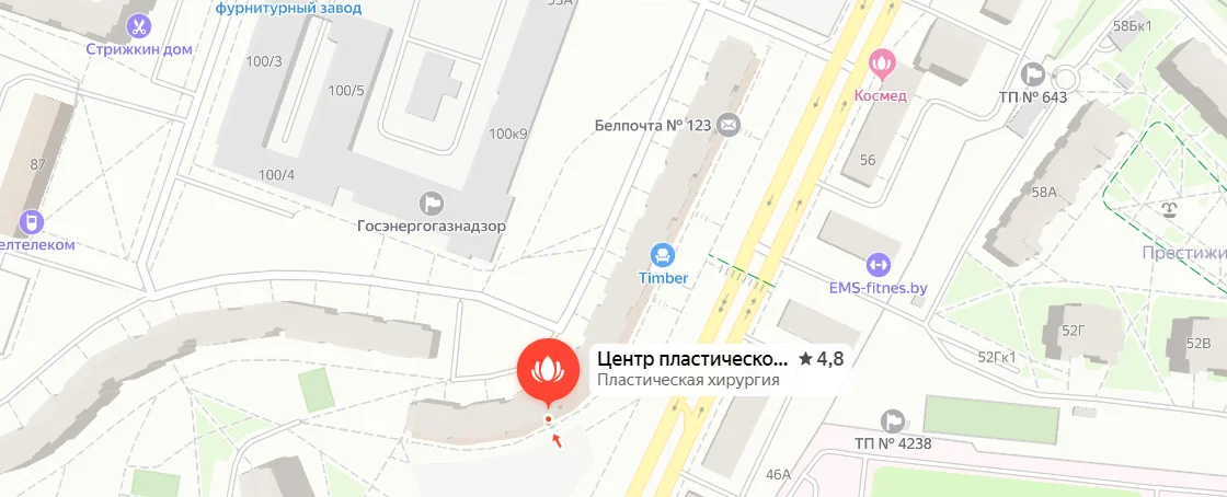 Yandex Map: loading...
